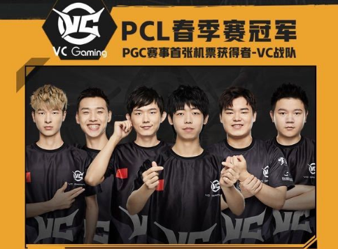 一种对胜利 一种对胜利